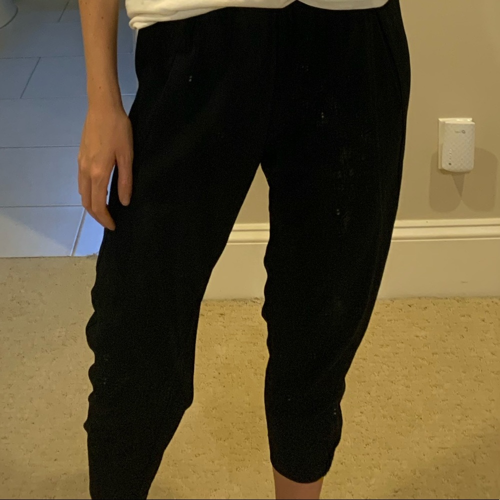 Aritzia Dexter Pant - Picture 2 of 2